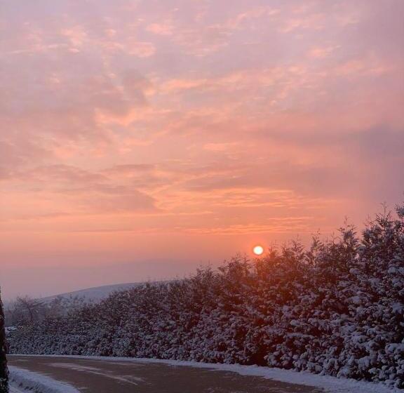 渡假胜地  Complex Turistic Comoara Bucovinei