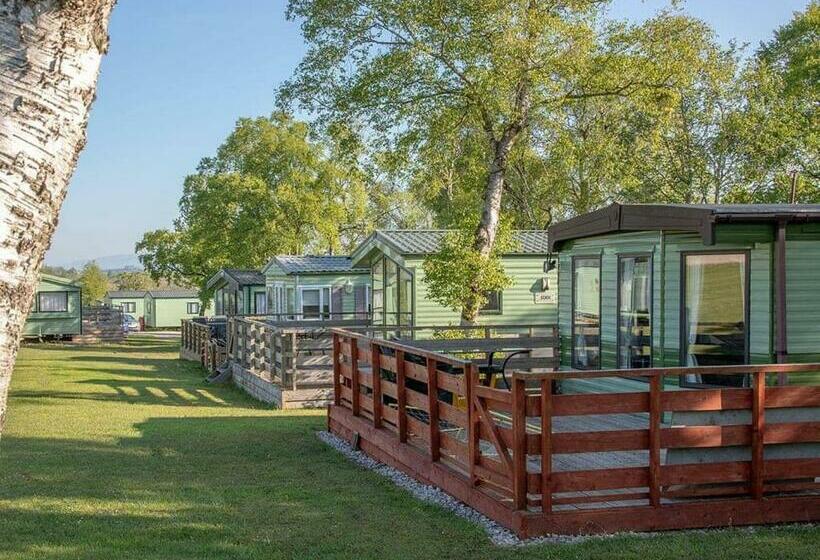 리조트 Wild Rose Holiday Park