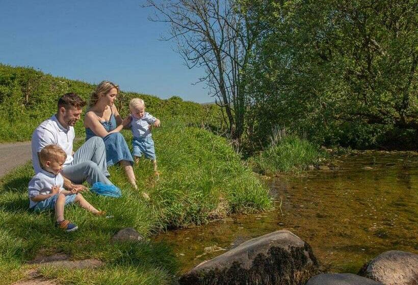 리조트 Wild Rose Holiday Park