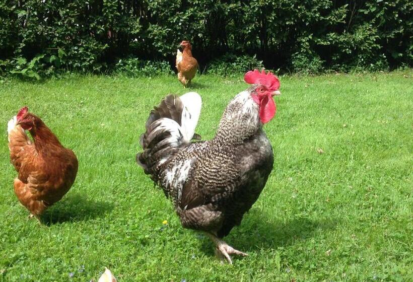 Runnvikens Pensionat