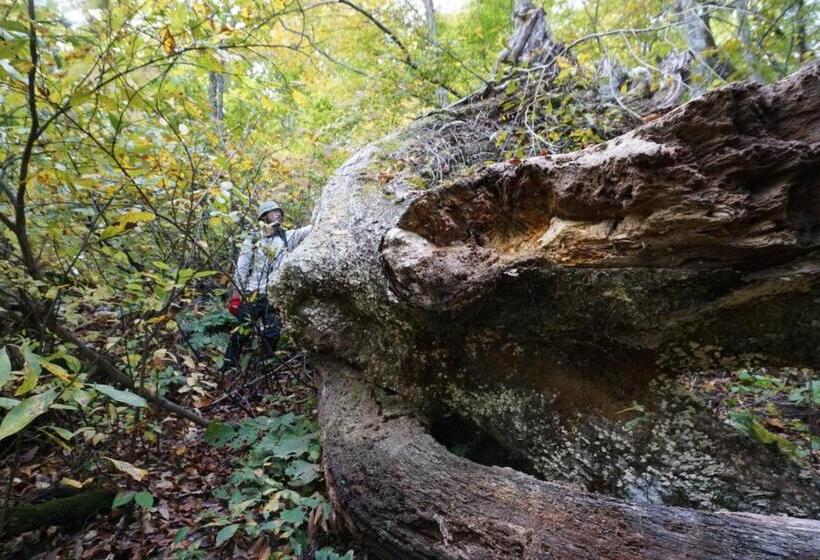 ريوكان Shiroyamakan