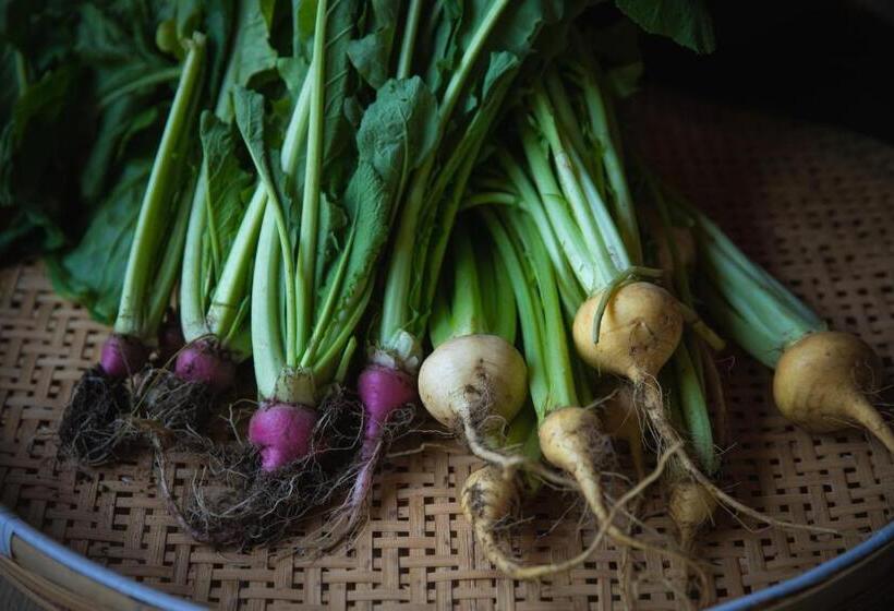 ريوكان Shiroyamakan