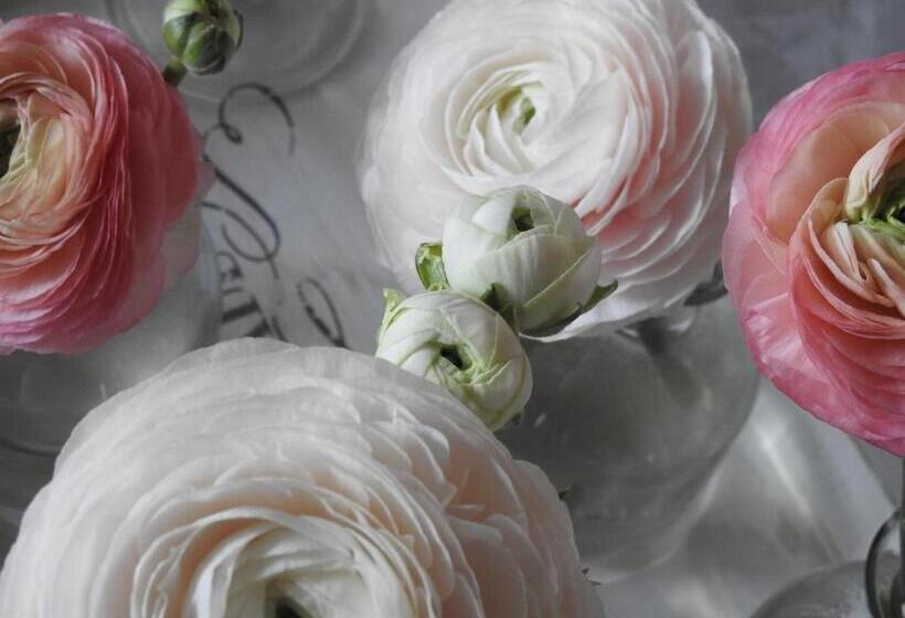 The Empty Nest B & B