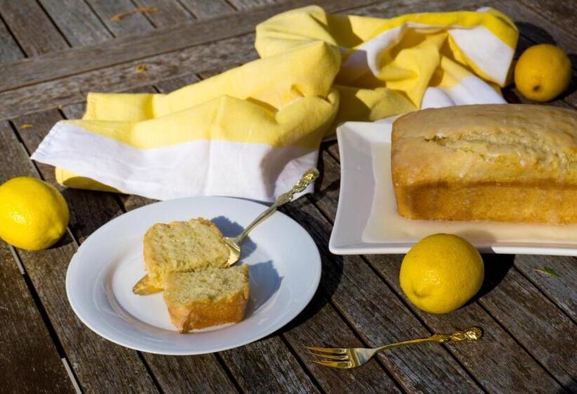 The Empty Nest B & B