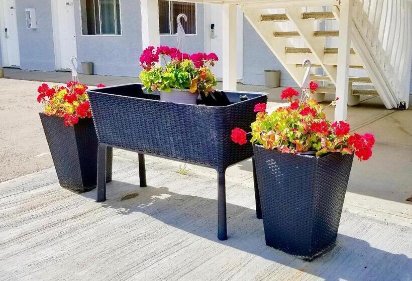 Twilight Country Motel