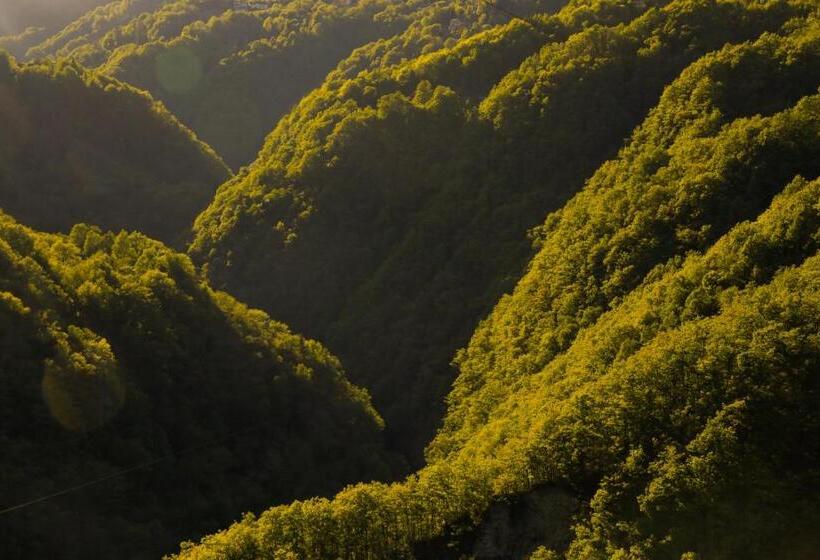 Wild Valley Hostel   Villa Edera