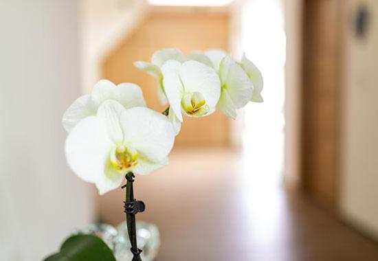 ユースホステル Gasthof Krone Ochsenfeld