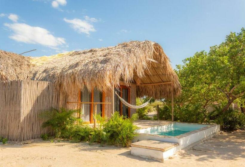 Общежитие Maleiwa Beach