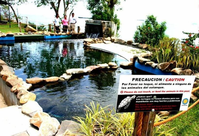 旅馆 Tourist Center Of  Tours Of Panamá