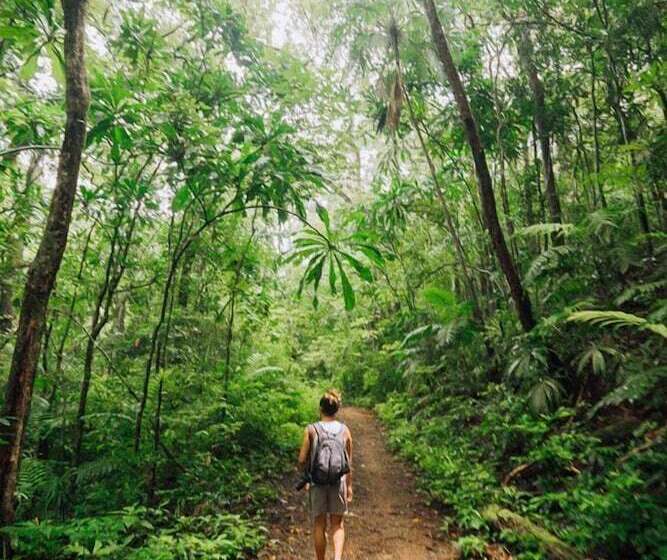 فندق صغير Tourist Center Of  Tours Of Panamá