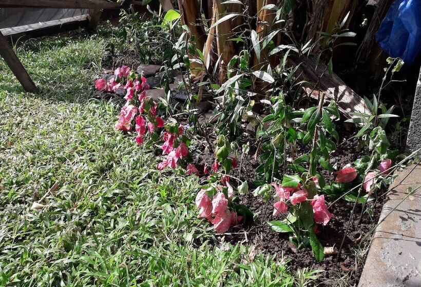 فندق صغير Tourist Center Of  Tours Of Panamá