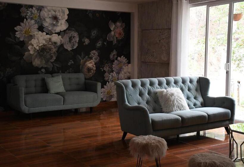 ユースホステル Zoila's Suite Escape