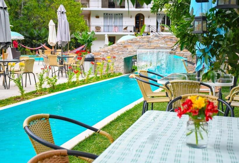 ユースホステル Zoila's Suite Escape