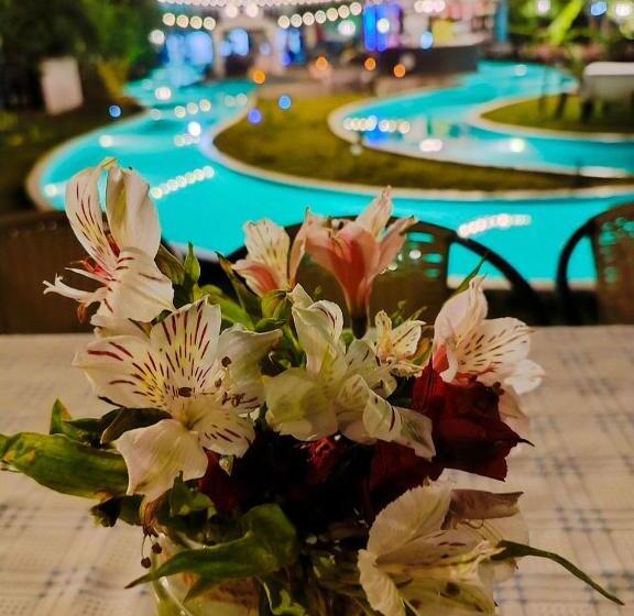 ユースホステル Zoila's Suite Escape