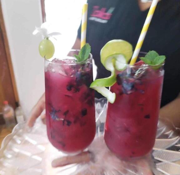 ユースホステル Zoila's Suite Escape