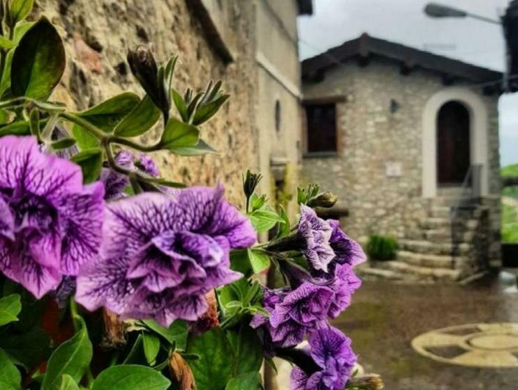 B&b Leofreni Natura