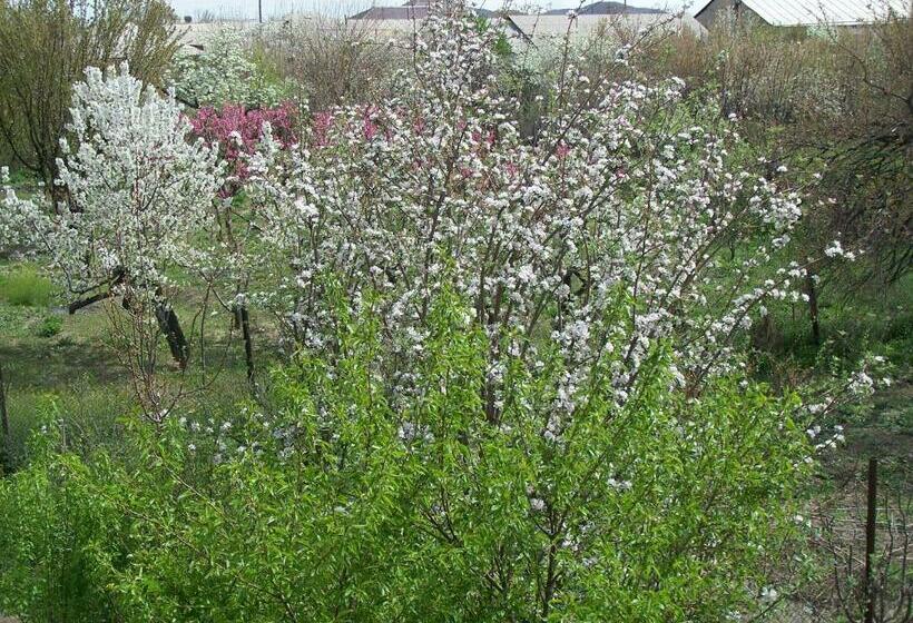 B&b Sunrise House Aygavan