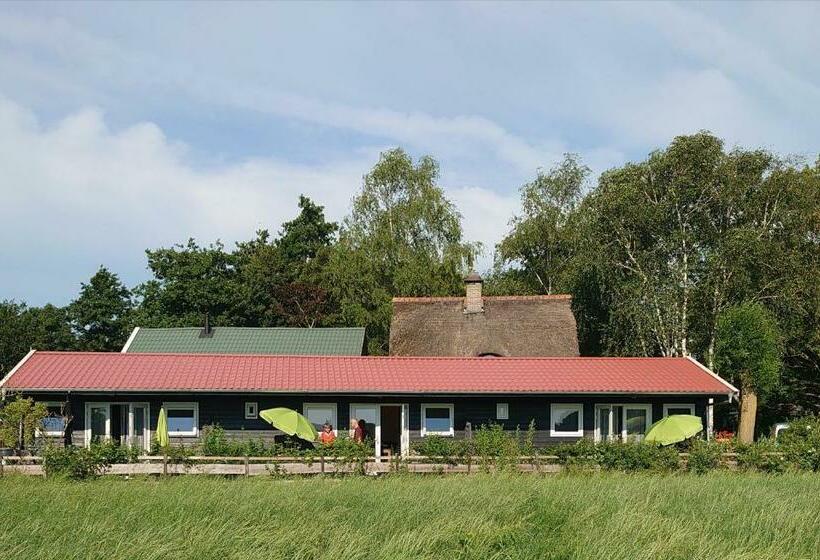 B&b Zusenzomer