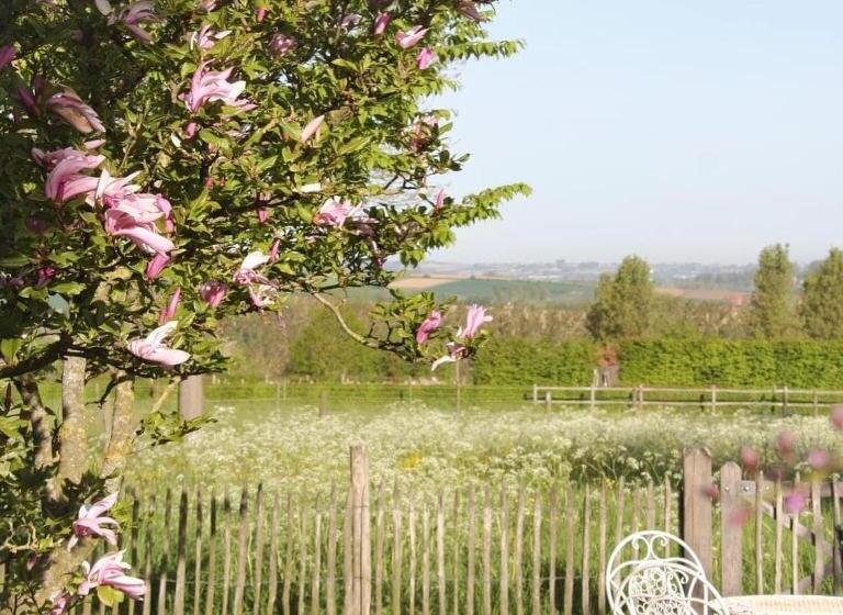 Bed and Breakfast Amberhoeve