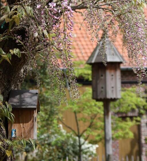 Bed and Breakfast Amberhoeve