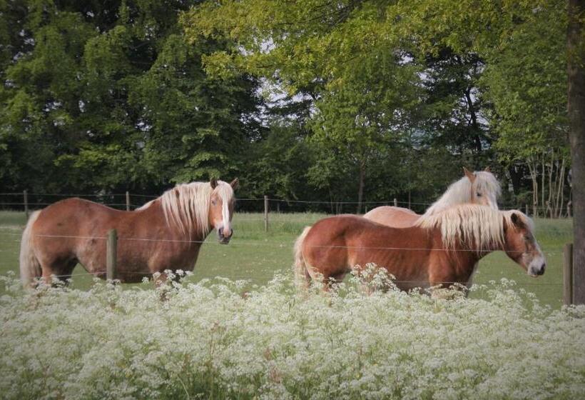Bed and Breakfast Amberhoeve
