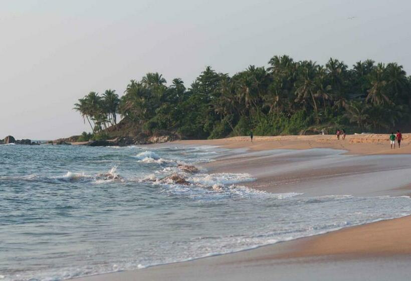 مبيت وإفطار Colibri Villa