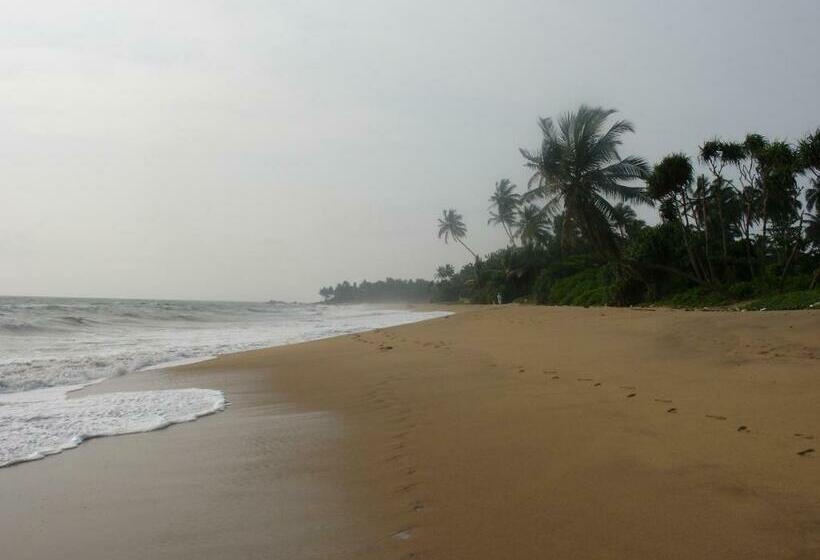 مبيت وإفطار Colibri Villa