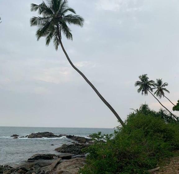 مبيت وإفطار Colibri Villa