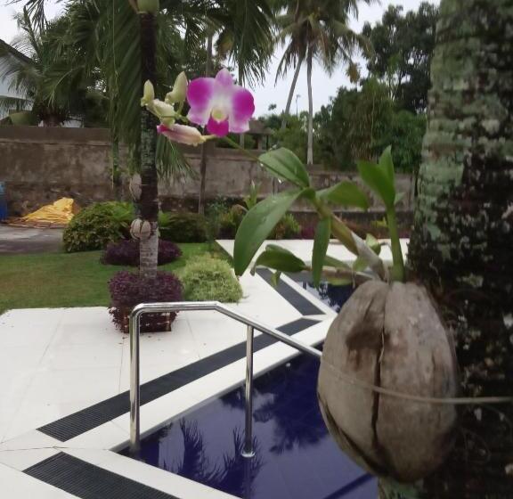 مبيت وإفطار Colibri Villa