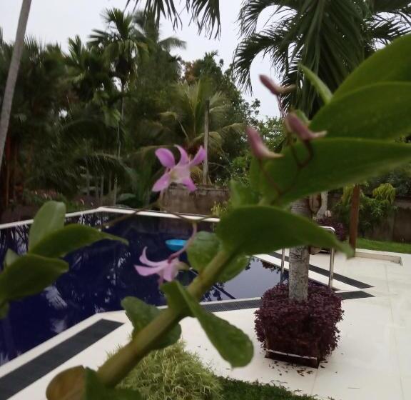 مبيت وإفطار Colibri Villa