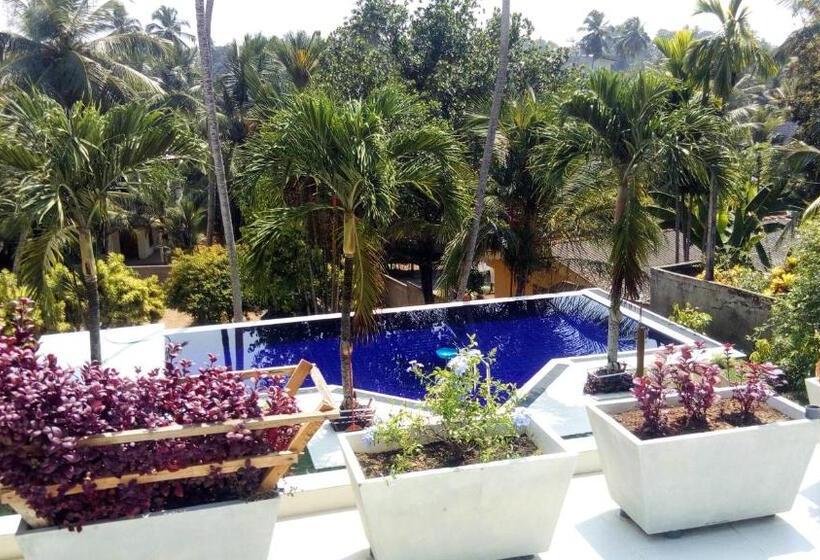 مبيت وإفطار Colibri Villa