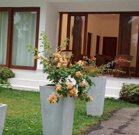 مبيت وإفطار Colibri Villa