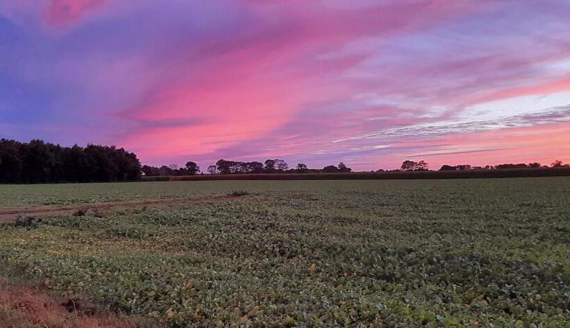 Bed And Breakfast Gasteren