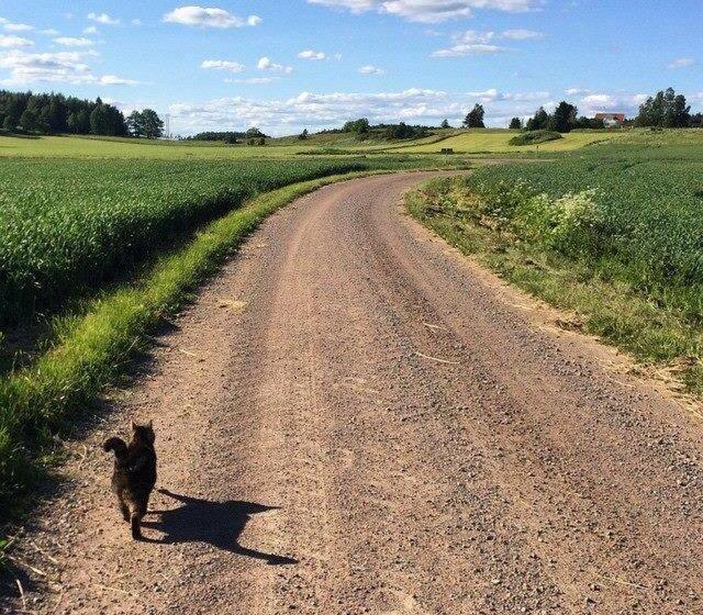 צימר Klefstad Gård