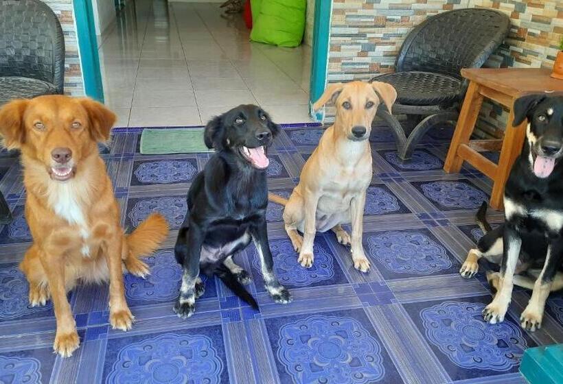 צימר L Isola Che..