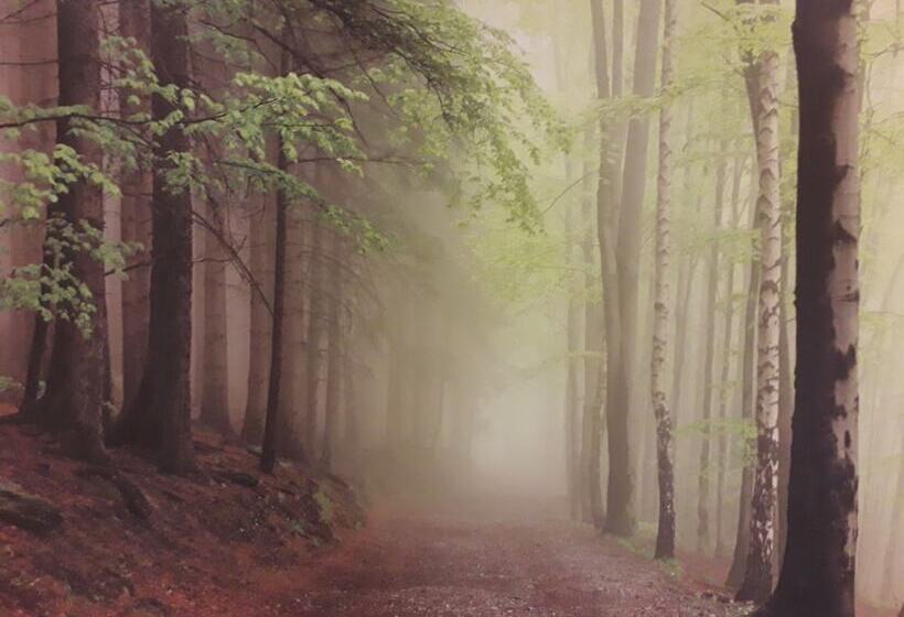 ベッドアンドブレックファースト Lindehof