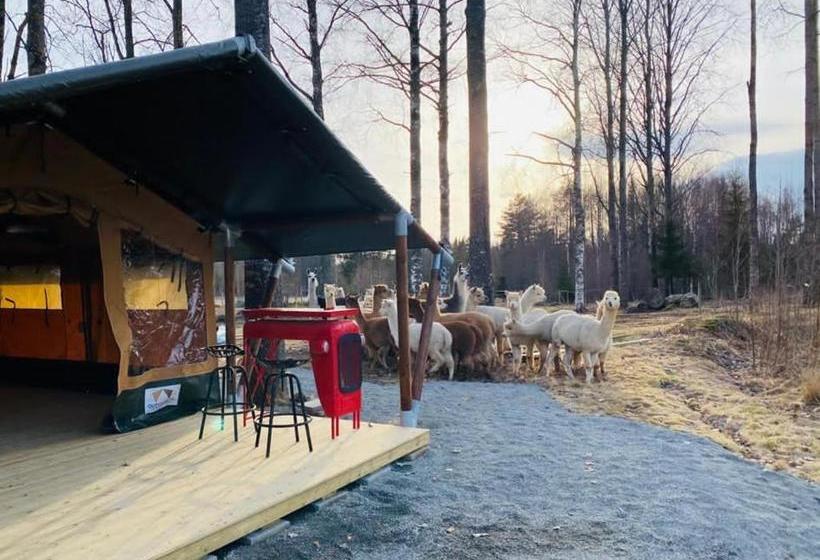 ベッドアンドブレックファースト Norrängens Alpacka   Det Lilla Boutiquehotellet Med En Fluffy Twist