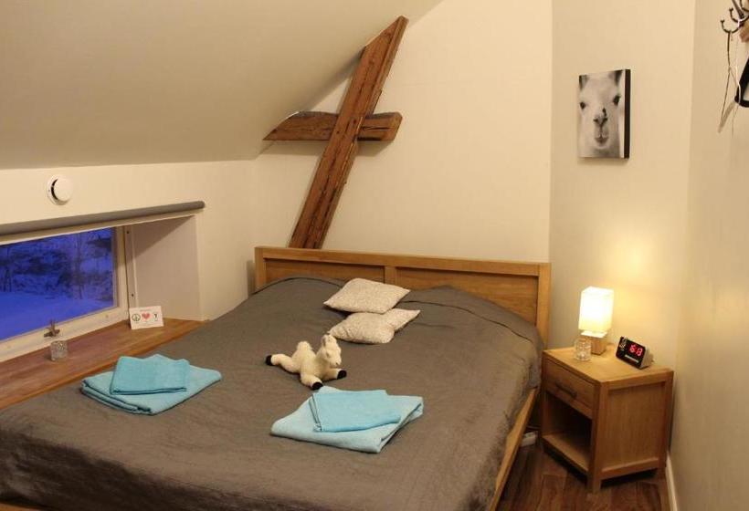 민박 Norrängens Alpacka   Det Lilla Boutiquehotellet Med En Fluffy Twist