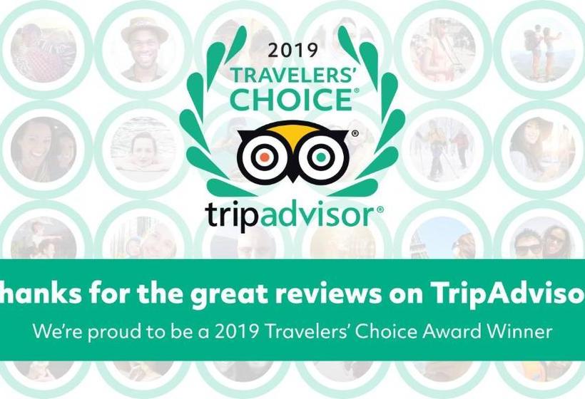 민박 Norrängens Alpacka   Det Lilla Boutiquehotellet Med En Fluffy Twist