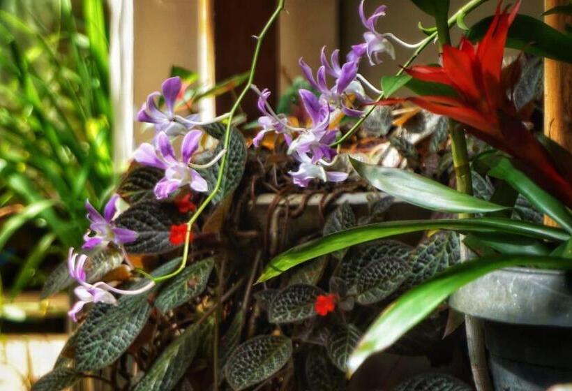 ベッドアンドブレックファースト Sri Mathie Historic Estate