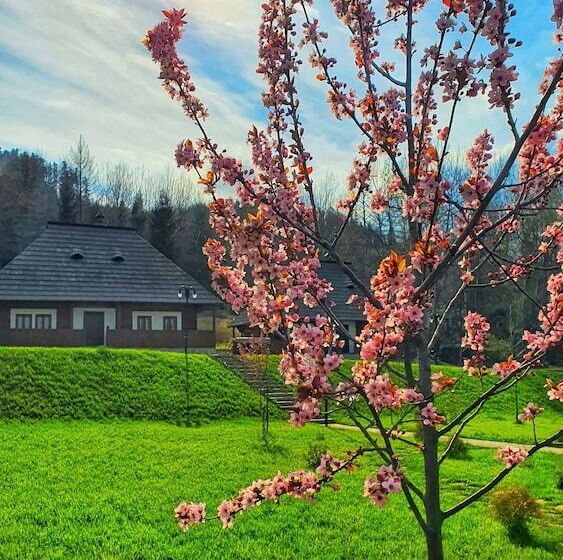 Bed and Breakfast Vatra Boiereasca