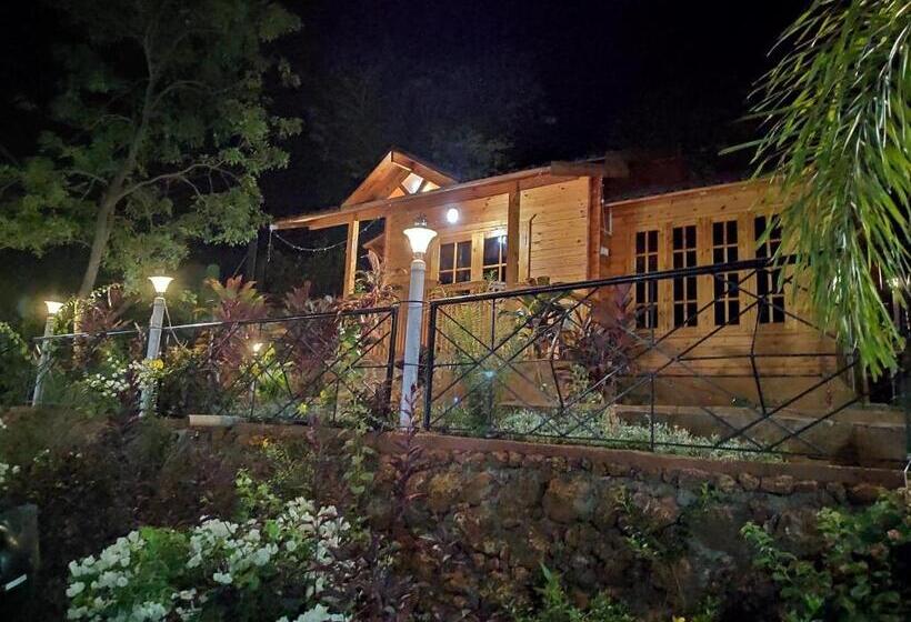 Cozywoods Hill Resort