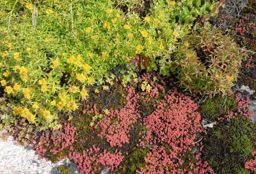 Hedesunda Bed & Breakfast