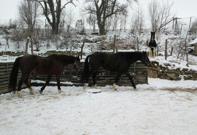 בית מלון כפרי A Sissy Hof