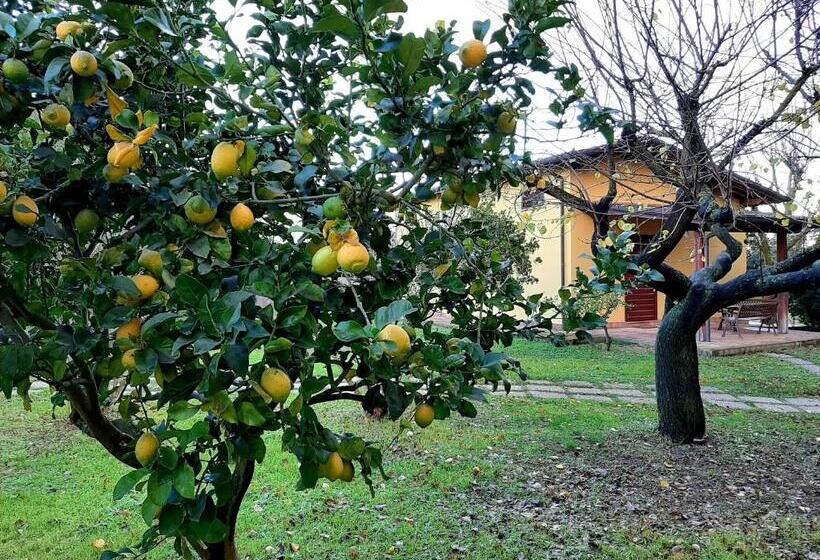 فندق Agriturismo Podere Bedin