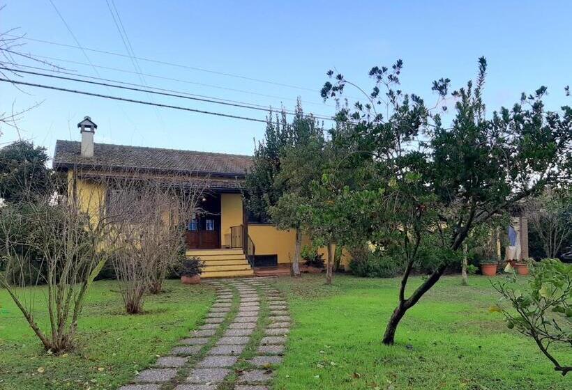 فندق Agriturismo Podere Bedin
