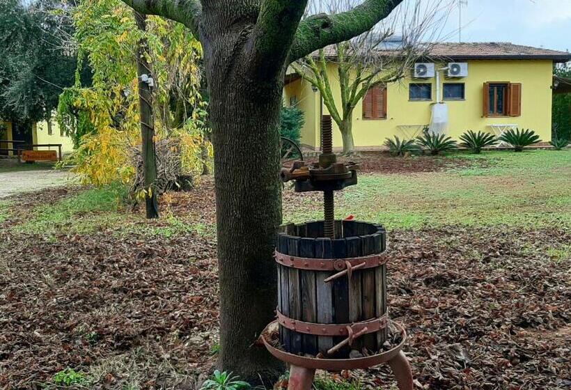 فندق Agriturismo Podere Bedin