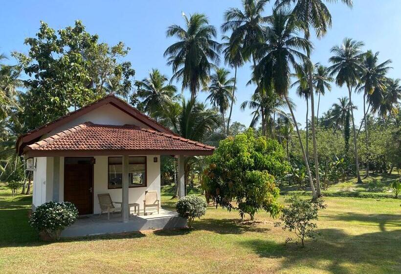ホテル Ambarella Lodge   Katunayake