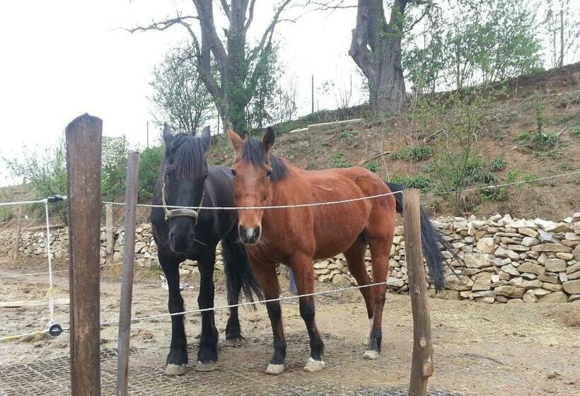 בית מלון כפרי A Sissy Hof