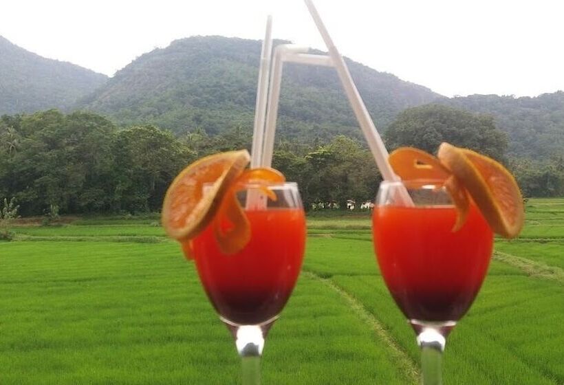 Отель Asliya Regency